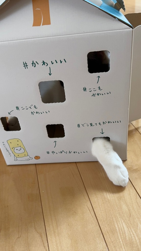 ユーザー写真