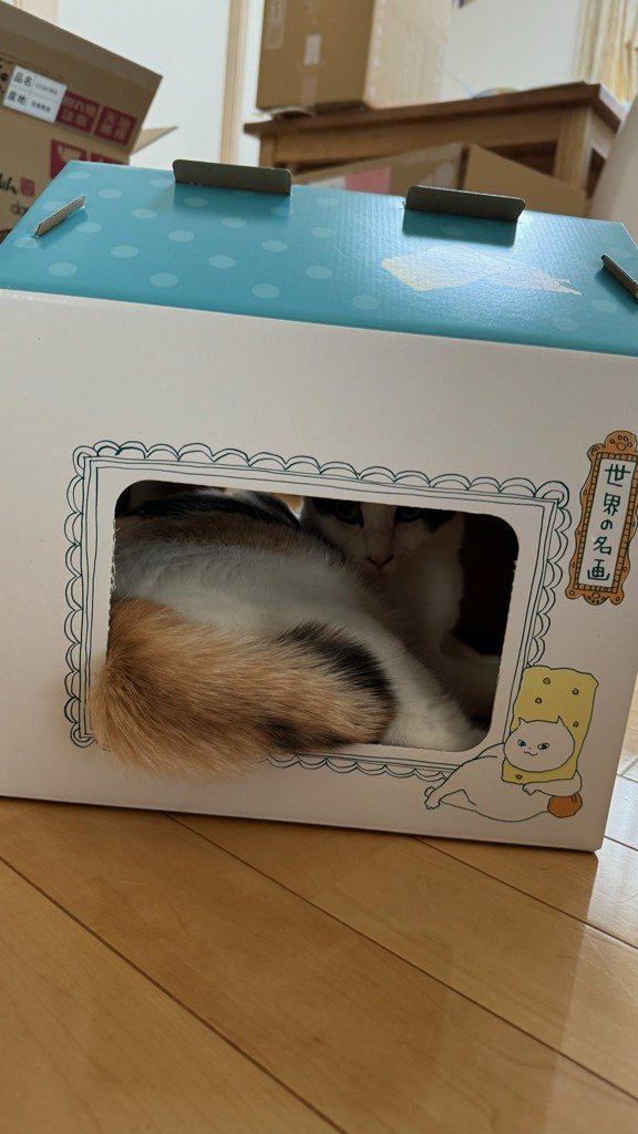 ユーザー写真