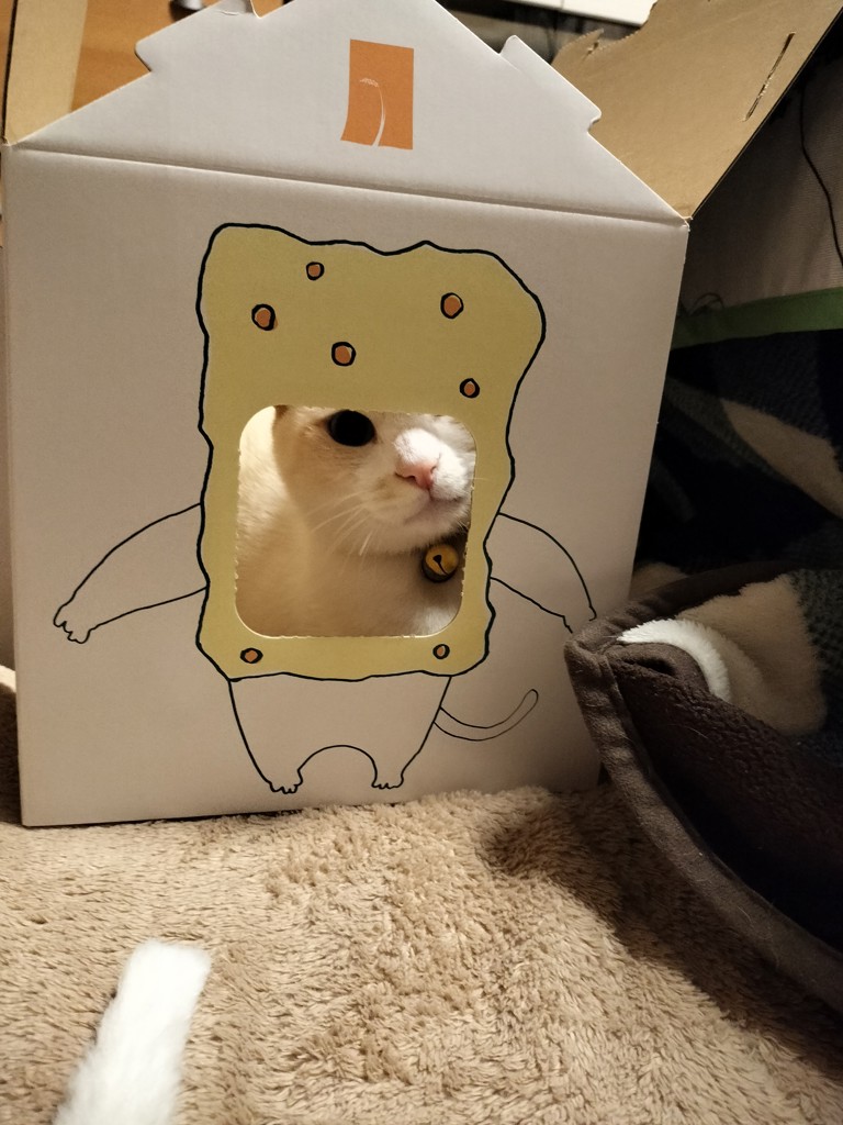 ユーザー写真