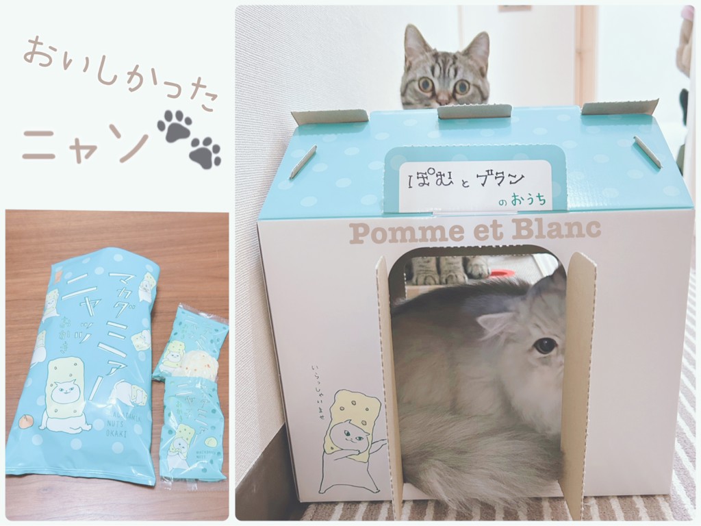 ユーザー写真