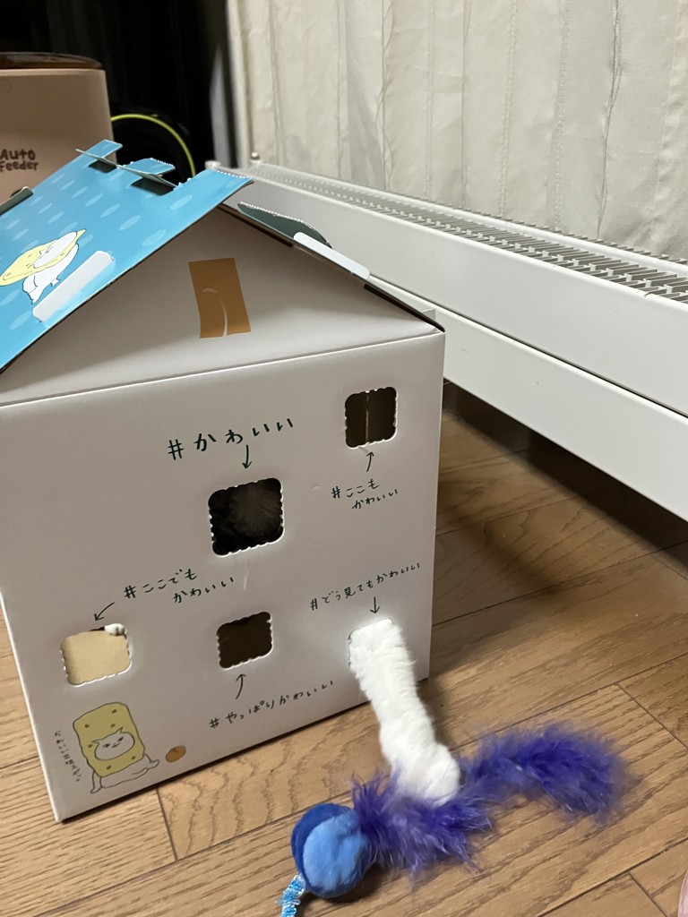 ユーザー写真
