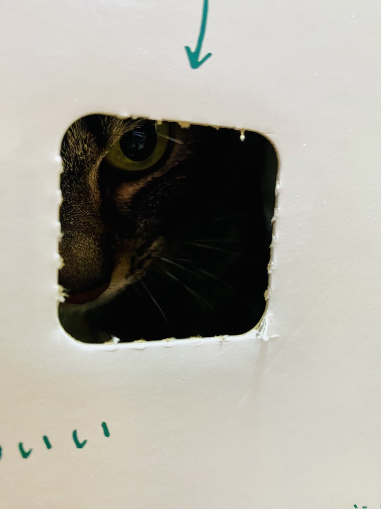 ユーザー写真