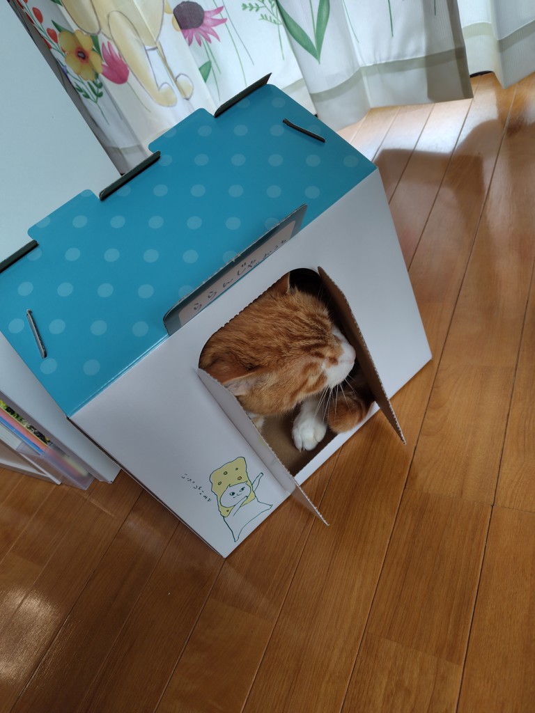 ユーザー写真