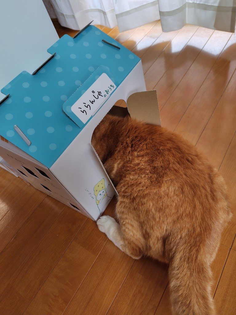 ユーザー写真
