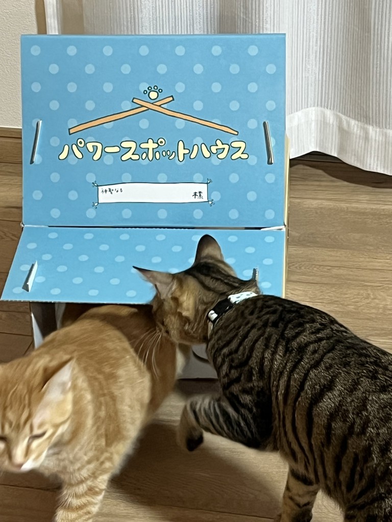 ユーザー写真
