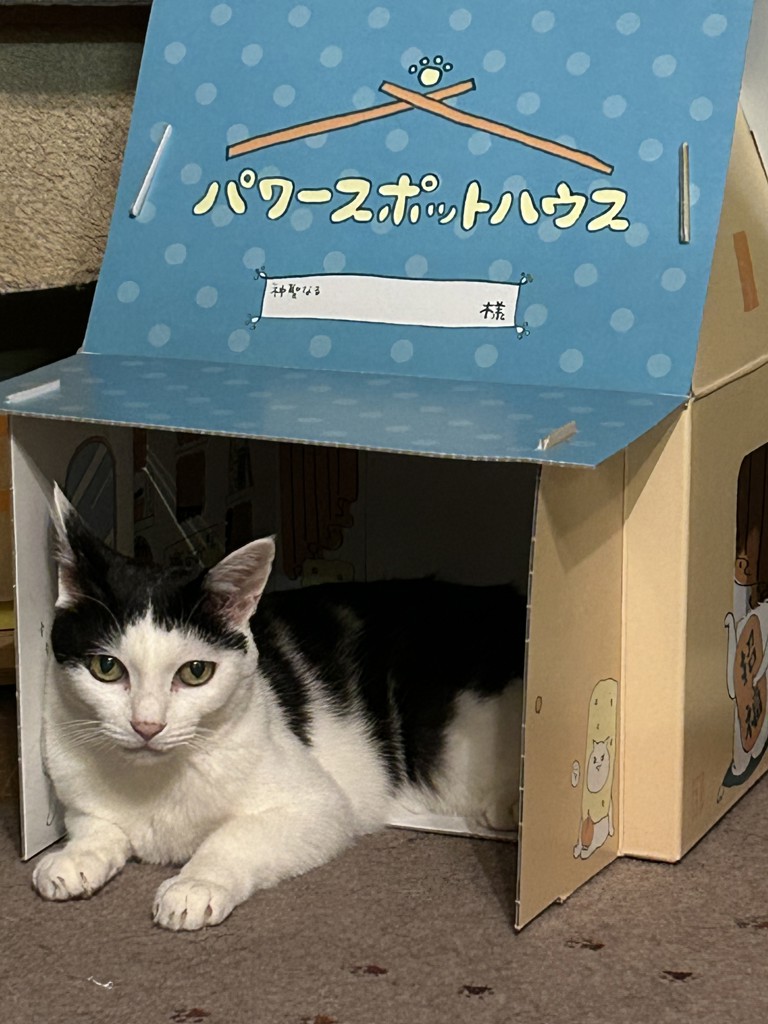 ユーザー写真