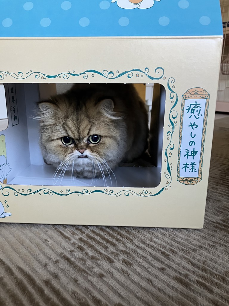 ユーザー写真