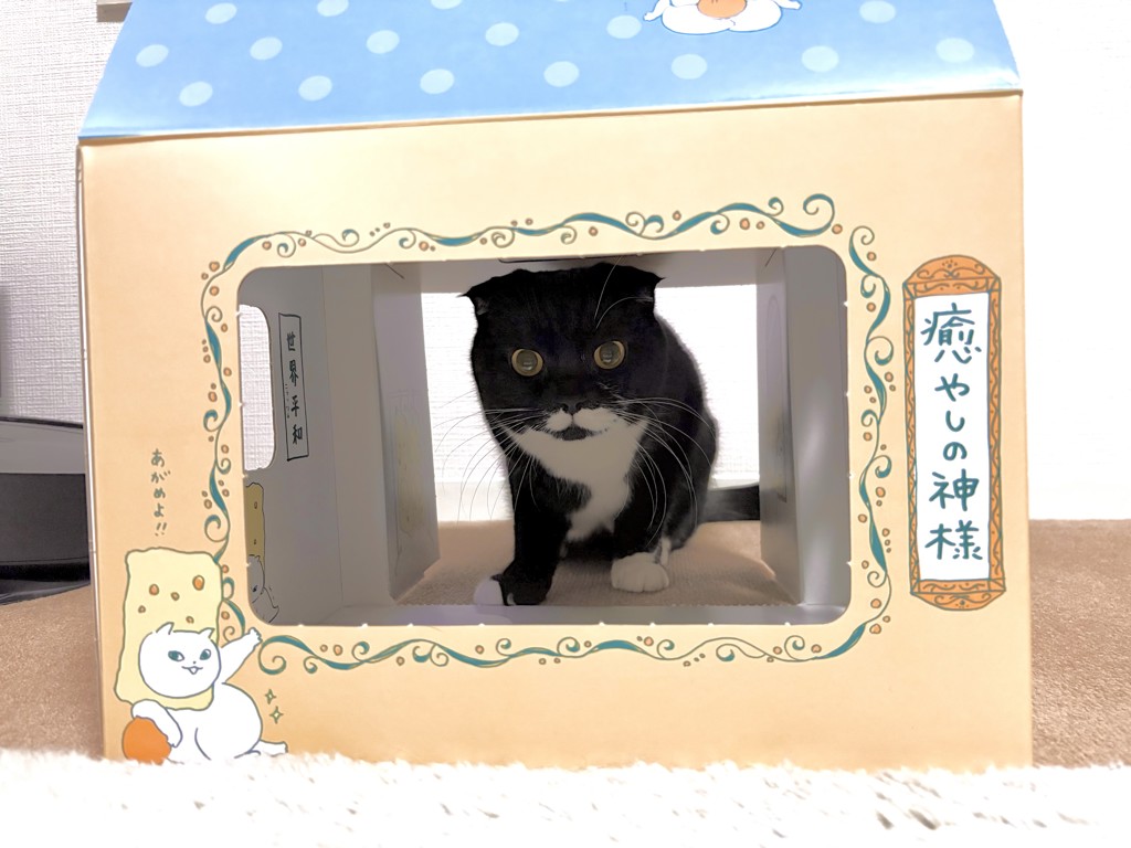 ユーザー写真