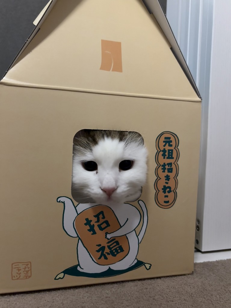 ユーザー写真