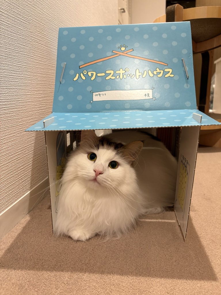 ユーザー写真