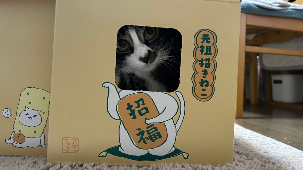 投稿写真