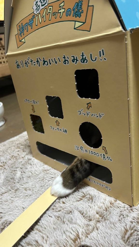 投稿写真