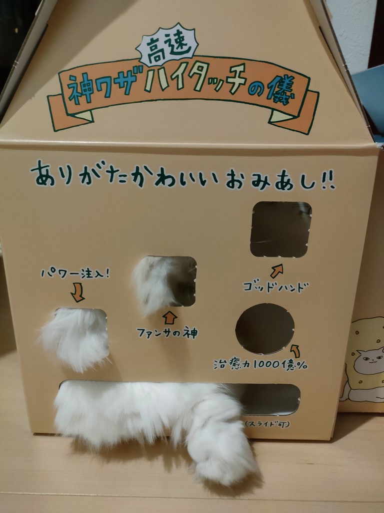 投稿写真