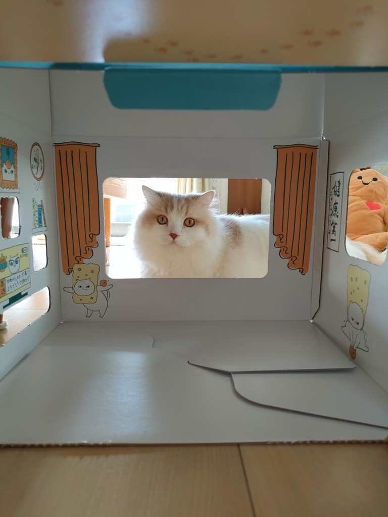 投稿写真