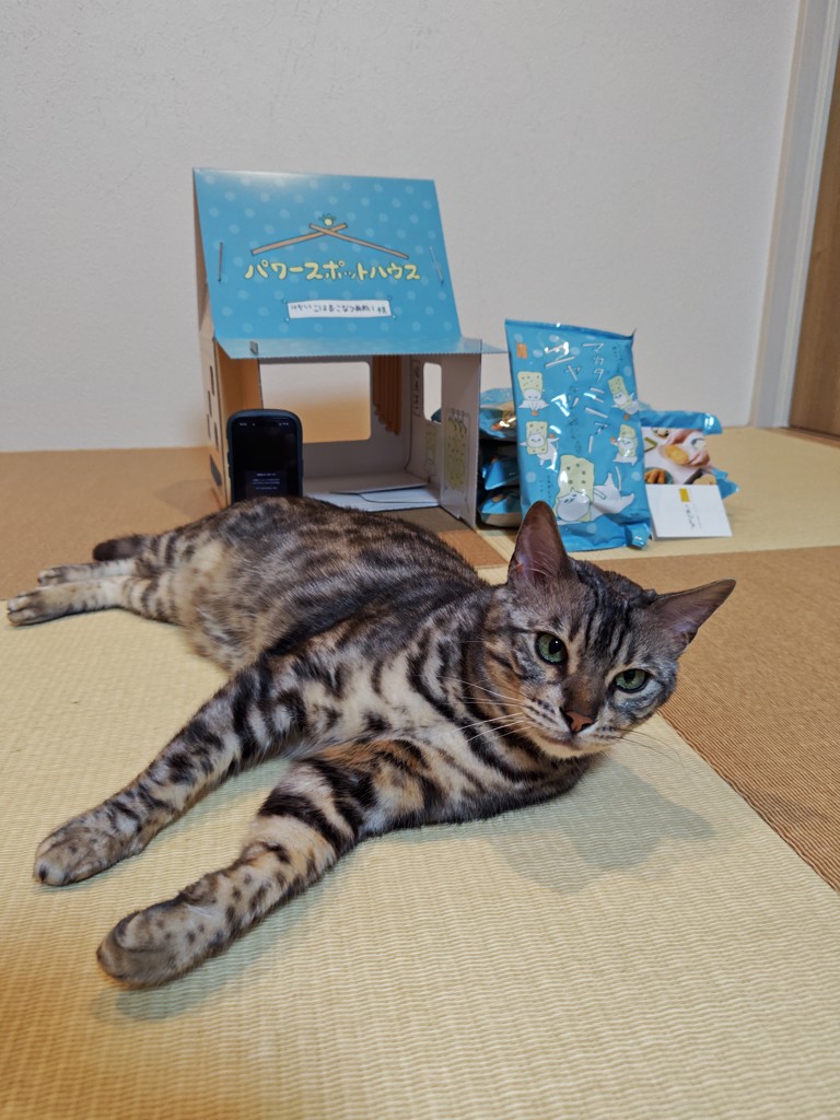投稿写真