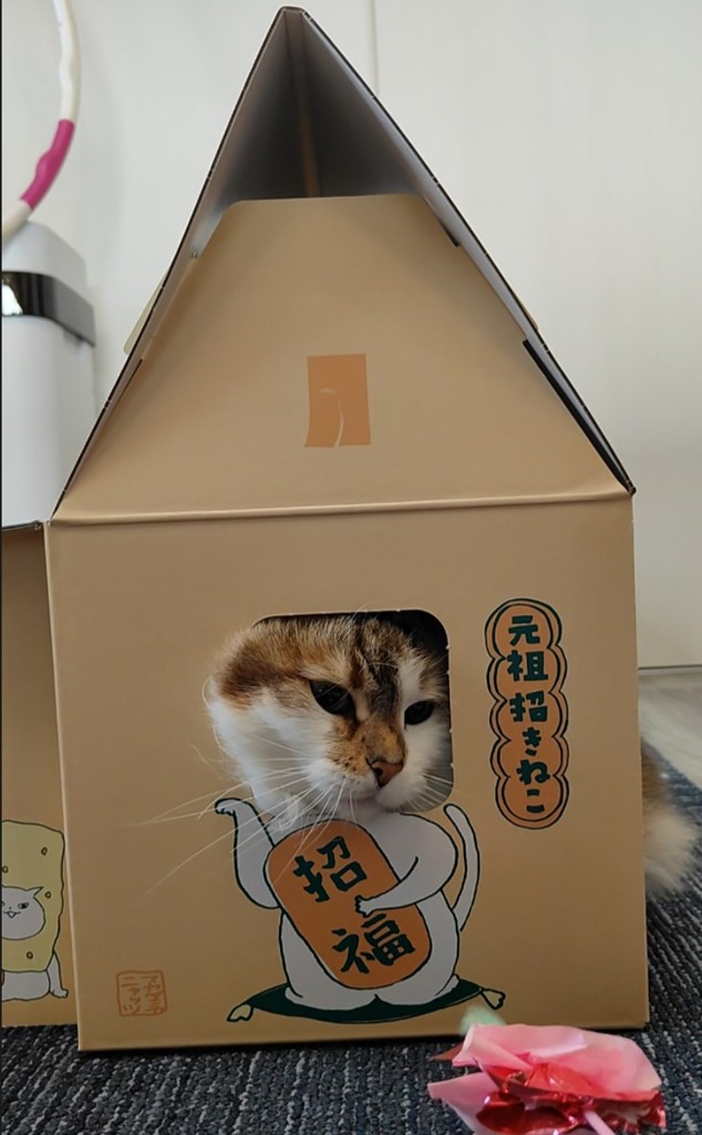 投稿写真