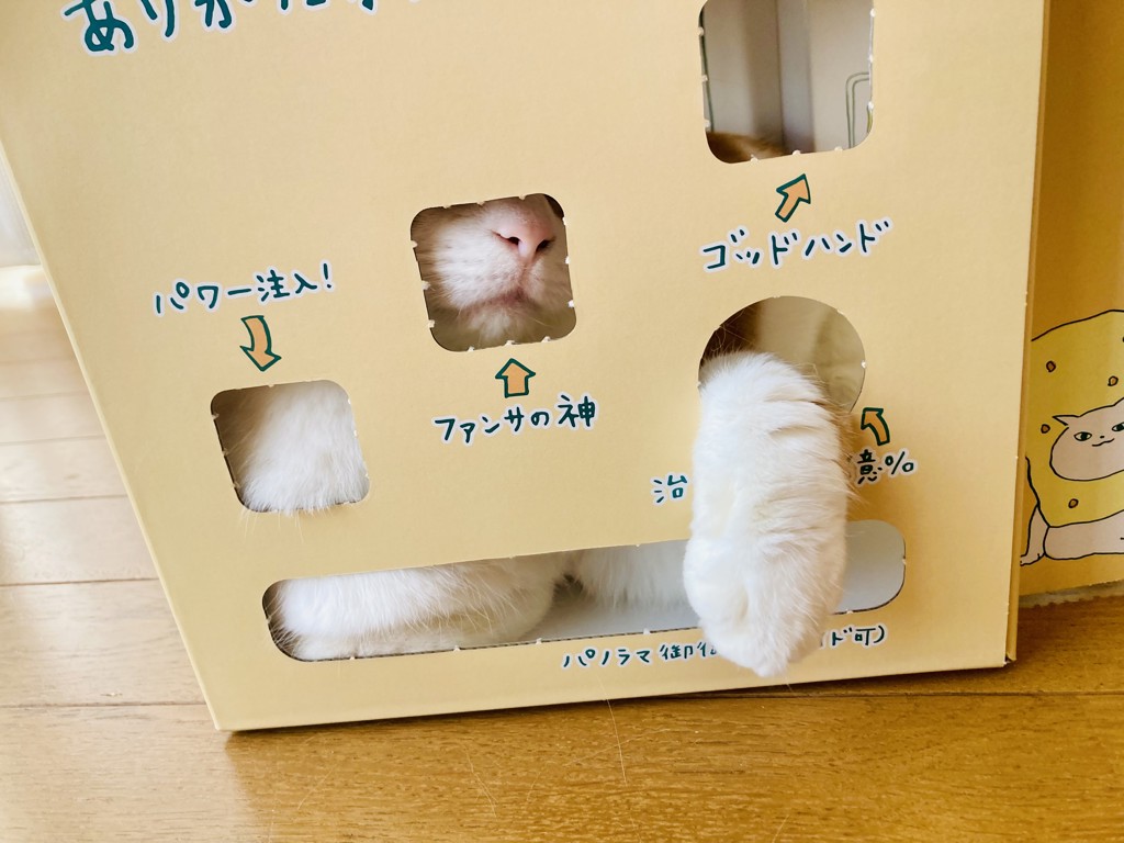 投稿写真