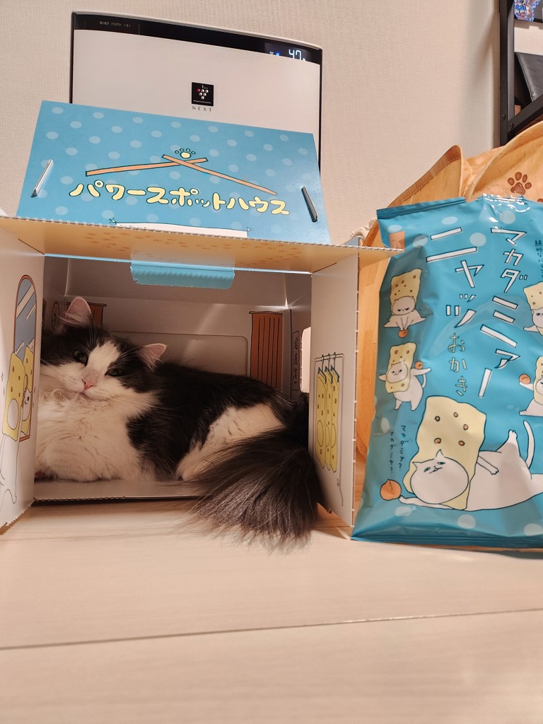 投稿写真