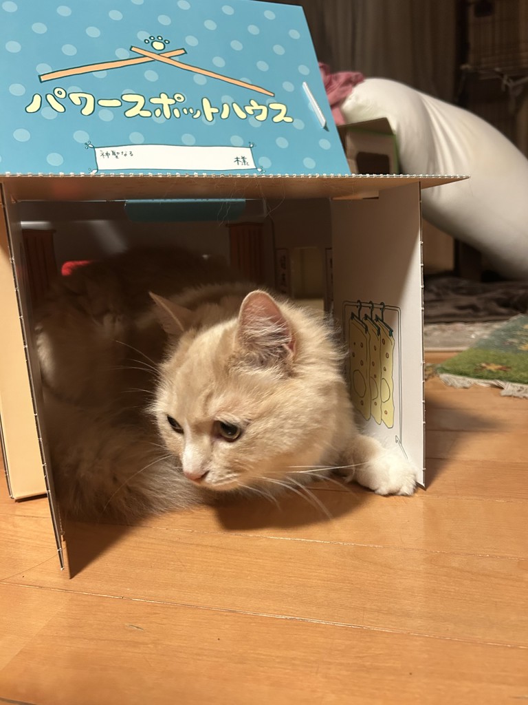 ユーザー写真