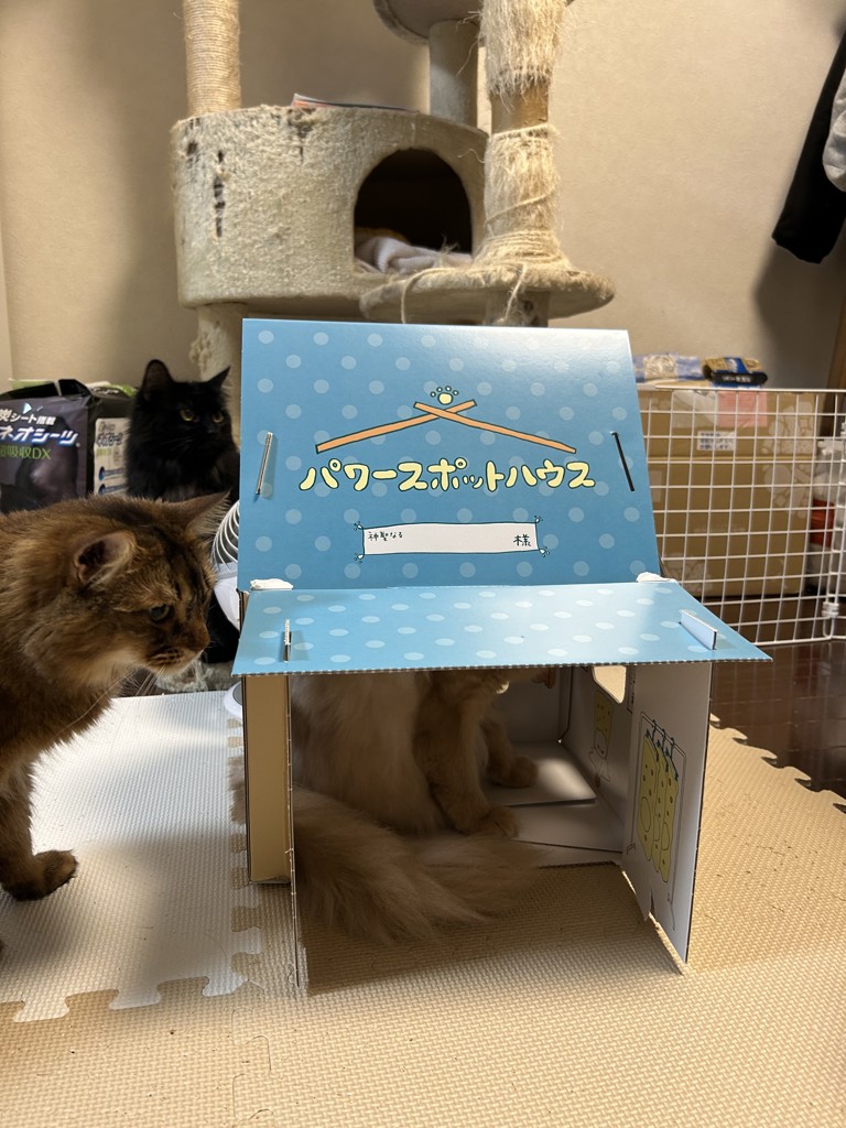 ユーザー写真