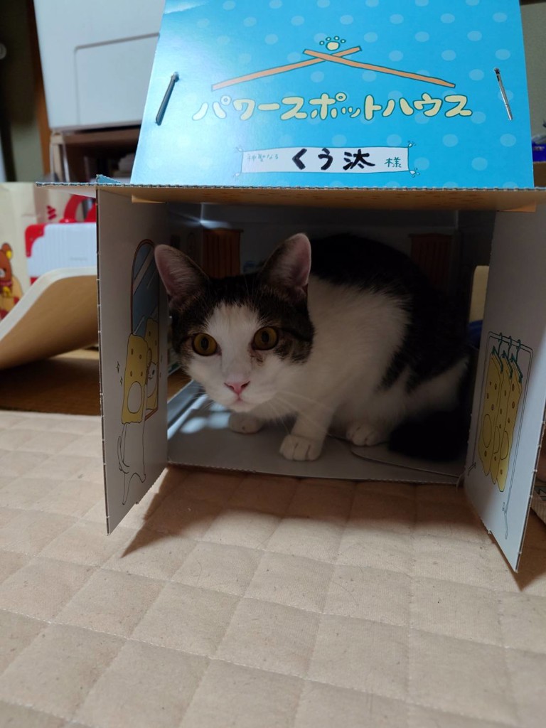 投稿写真