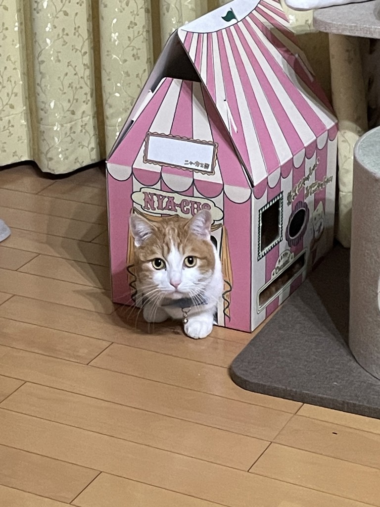 ユーザー写真