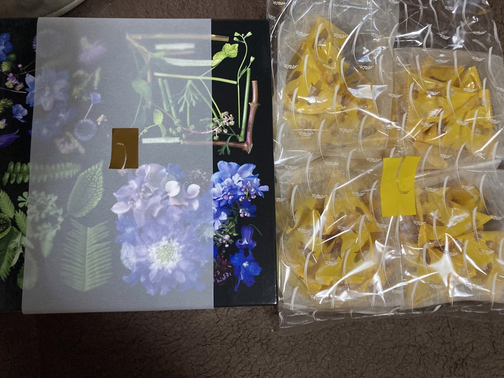 投稿写真