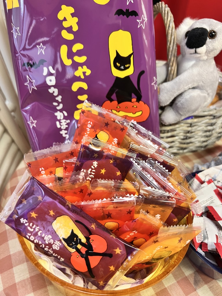 投稿写真