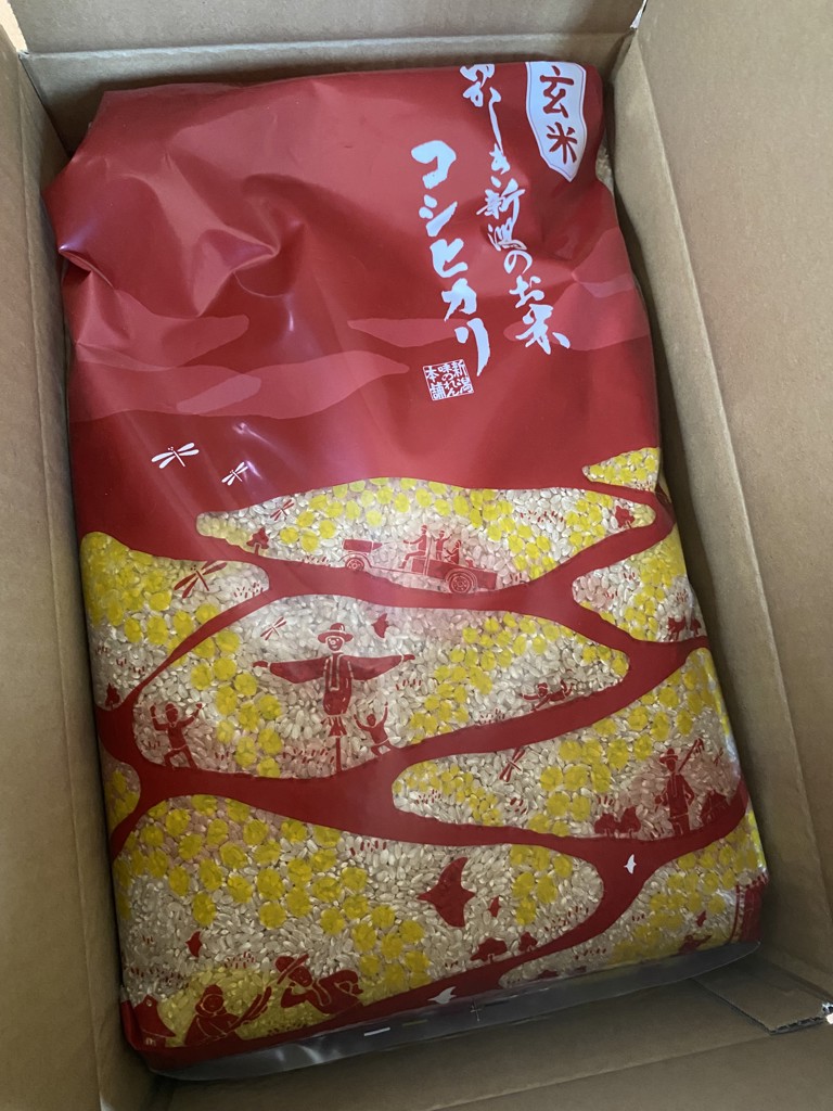 投稿写真