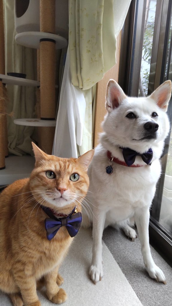 ユーザー写真