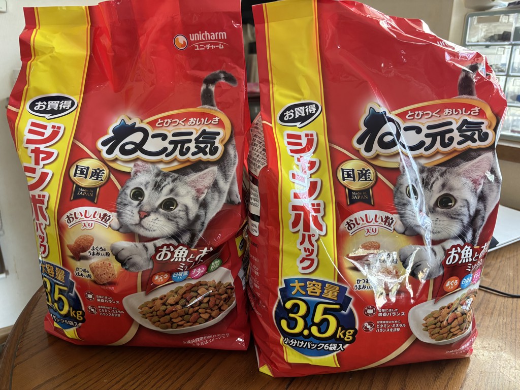 投稿写真
