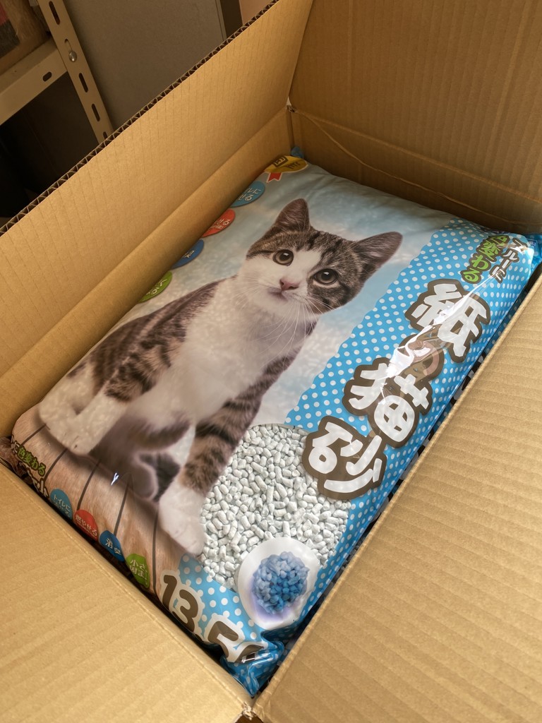 投稿写真