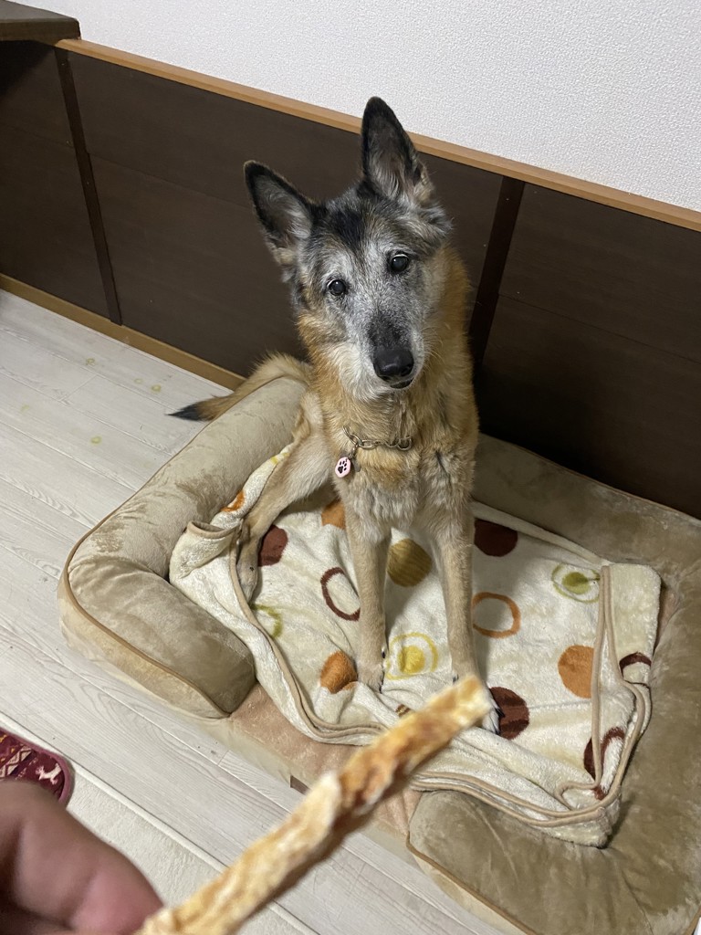 ユーザー写真