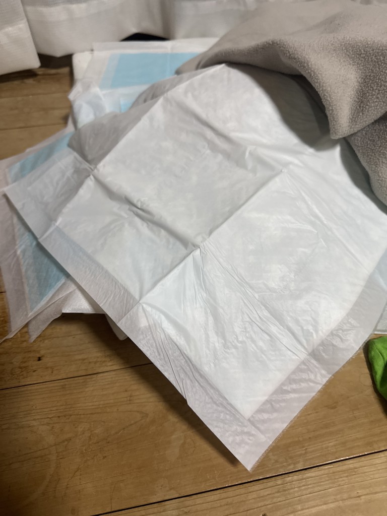 ユーザー写真