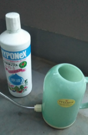 ユーザー写真