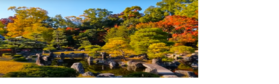 ユーザー写真