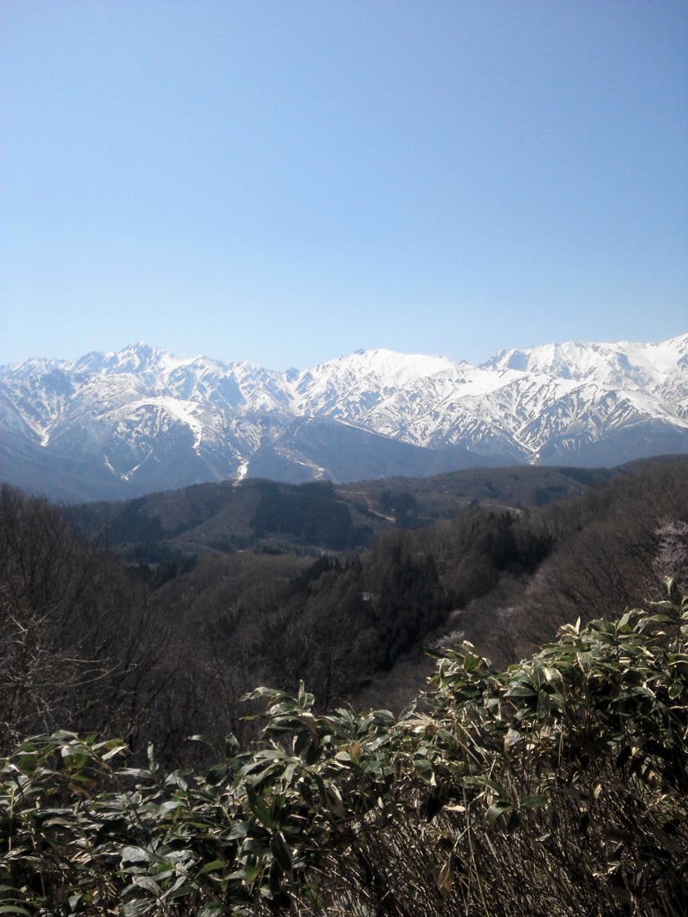 投稿写真