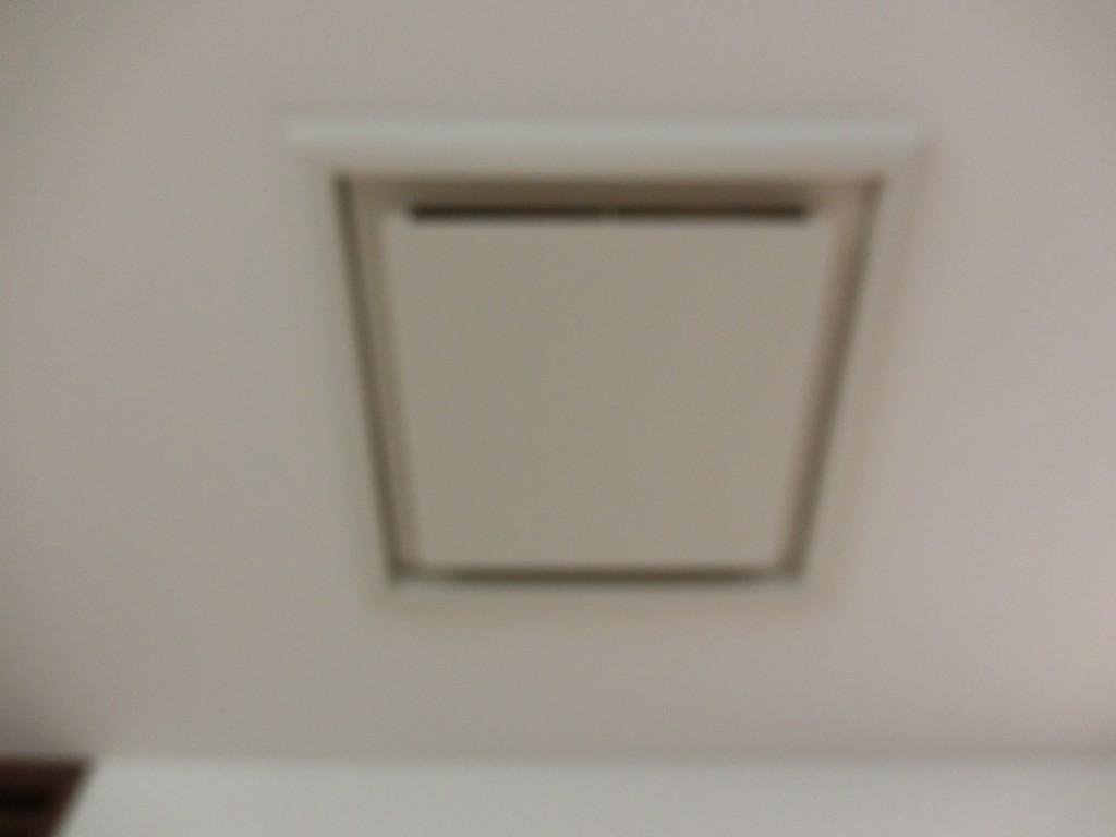 投稿写真