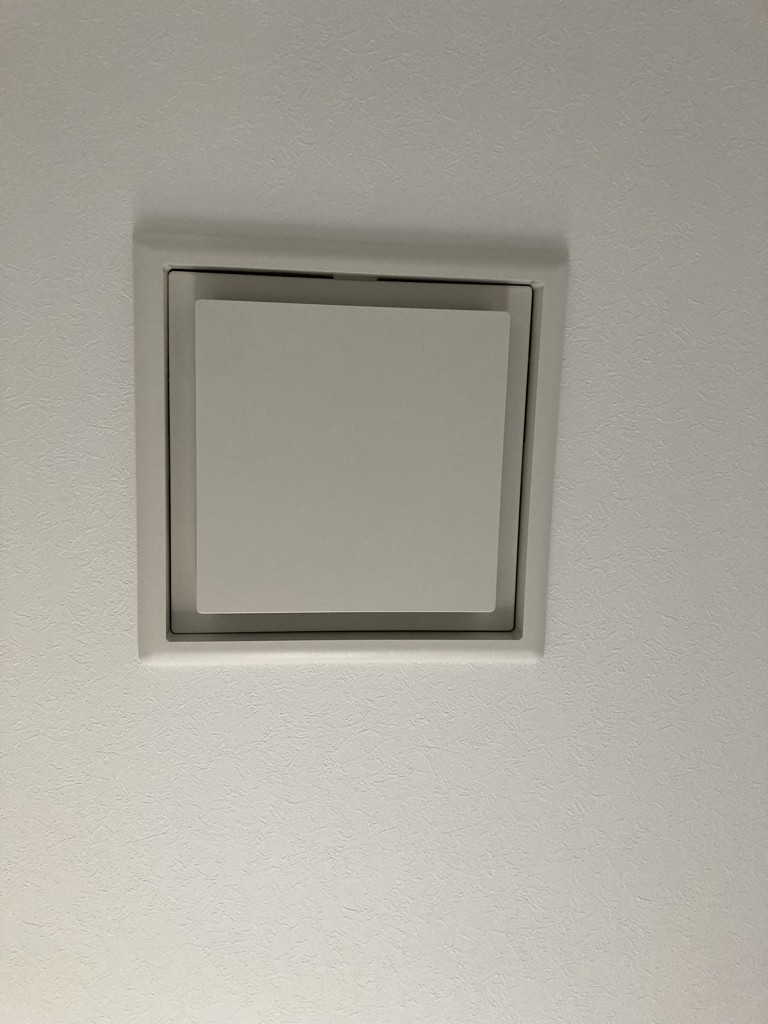 投稿写真