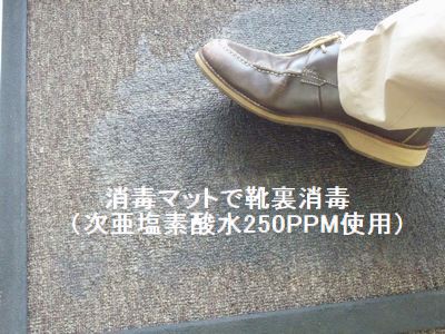 投稿写真