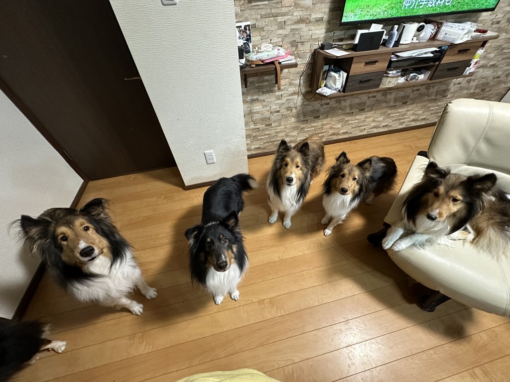 ユーザー写真