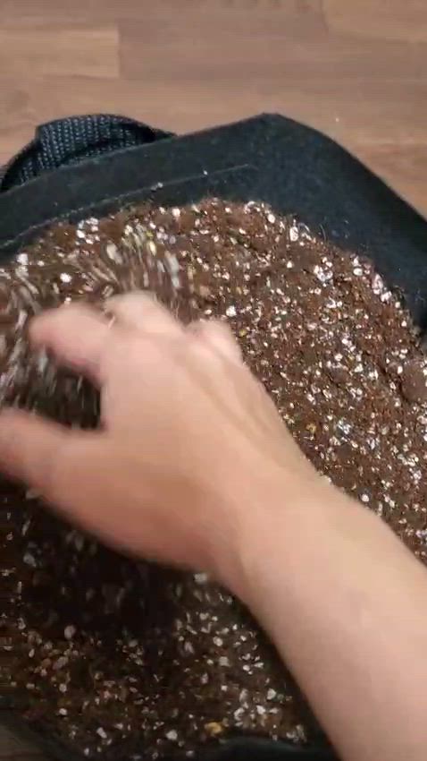ユーザー動画