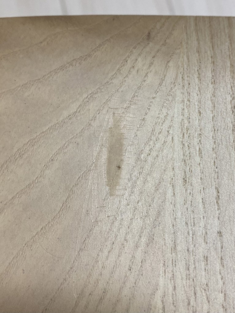 投稿写真