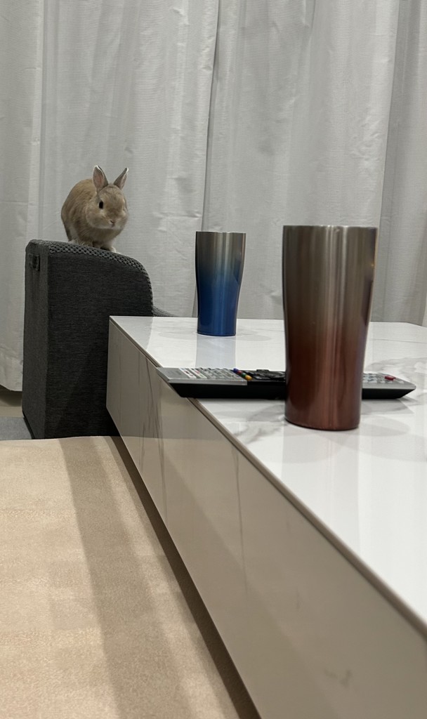 投稿写真
