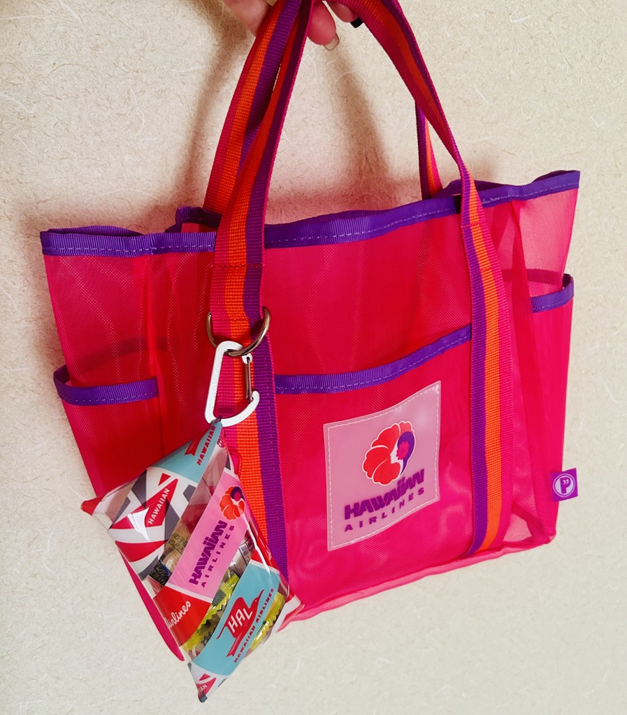 PLAZA BASICS HAWAIIAN AIRLINES ハワイアン航空 マルチクリアケース