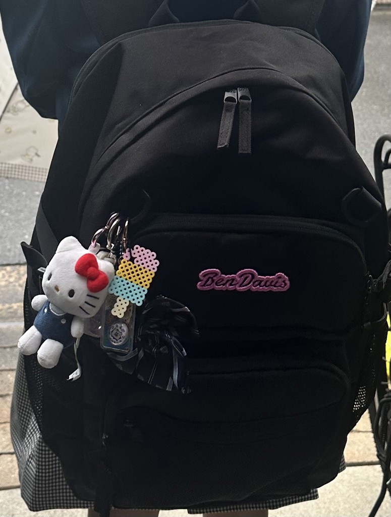 BEN DAVIS ベン デイビス エンブロイダリーデイパック ピンク 32L
