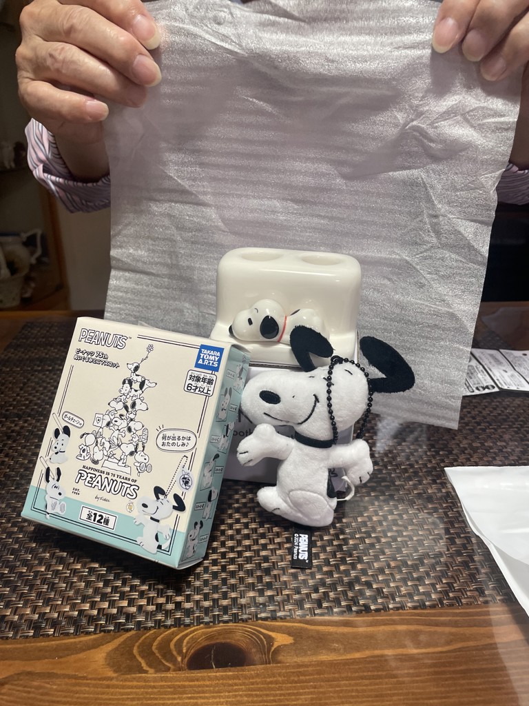 スヌーピー PEANUTS ぬいぐるみミニマスコットボールチェーン