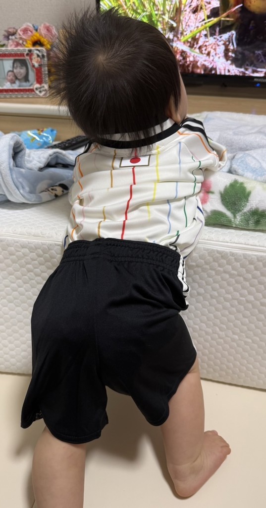 投稿写真
