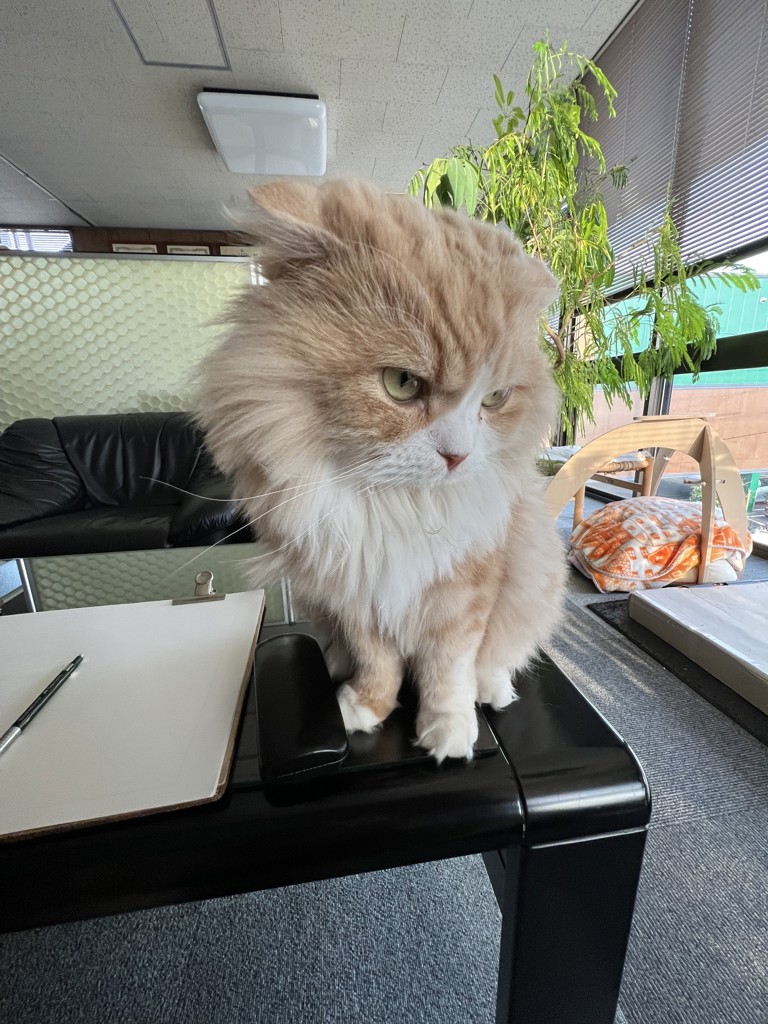 ユーザー写真
