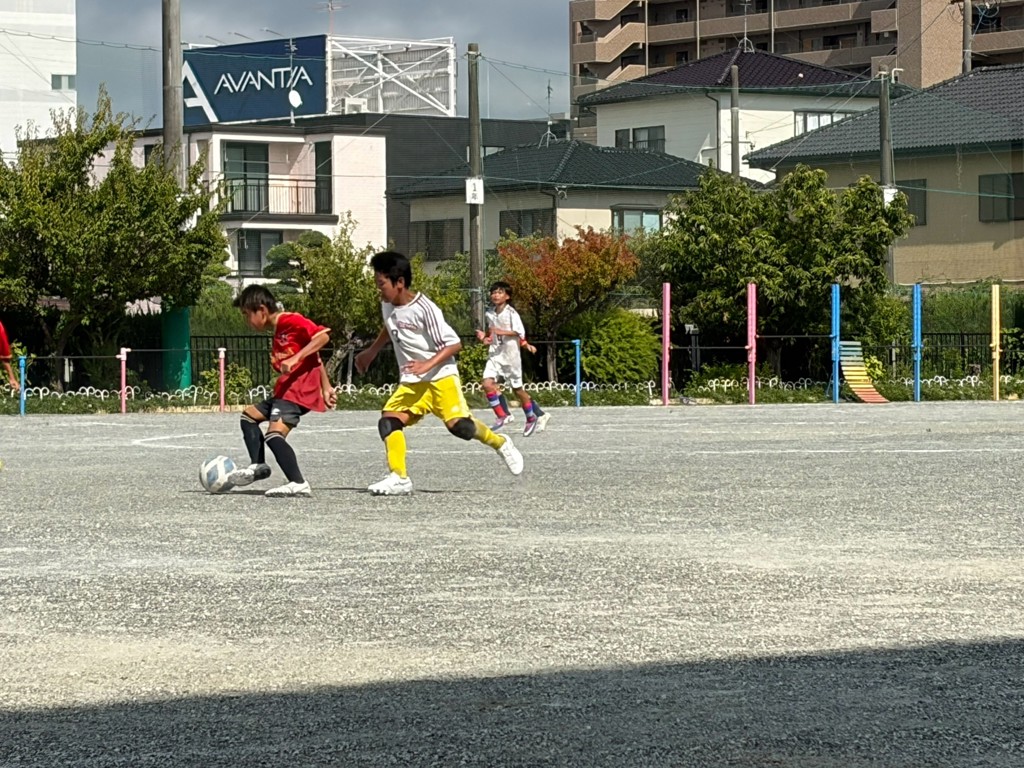 投稿写真